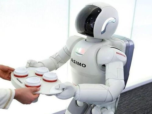 假如有一天,人類(lèi)百分之九十的工作都被機(jī)器人取代了,人類(lèi)該何去何從