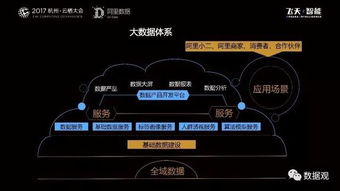 阿里數(shù)據(jù)服務(wù)產(chǎn)品開發(fā)與大數(shù)據(jù)體系實踐 數(shù)據(jù)處理服務(wù)的核心洞察